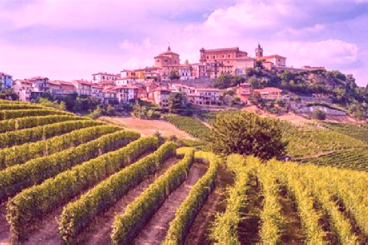 Harper, 31 — Escort in Belvedere Langhe, Italy