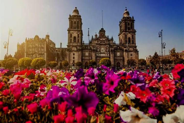 Harper, 31 — Escort in Ciudad Fernandez, Mexico
