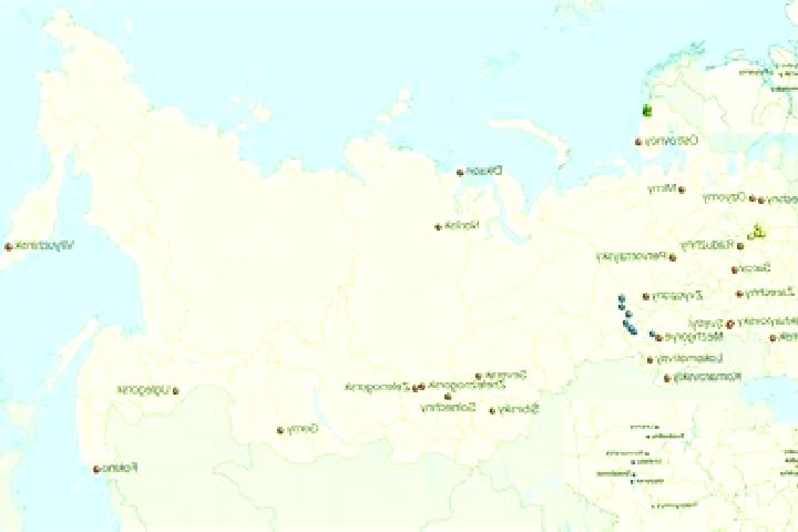 Harper, 31 — Escort in El -Bazhi, Russia