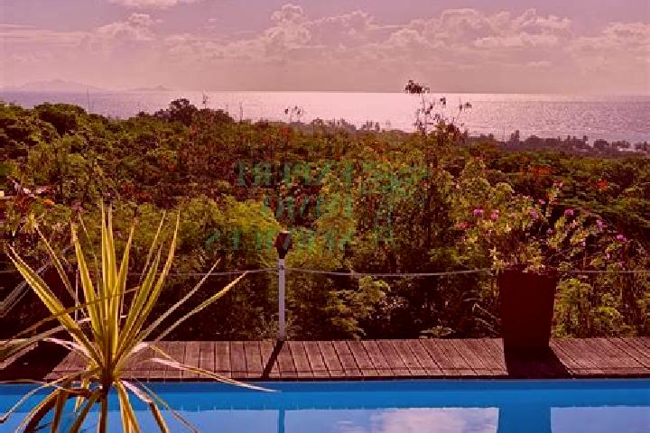Harper, 31 — Escort in Grand-Bourg, Guadeloupe