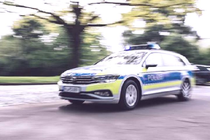 Harper, 31 — Escort in Krogaspe, Germany