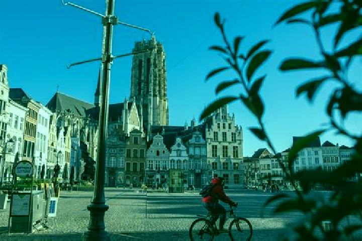 Harper, 31 — Escort in Mechelen, Netherlands