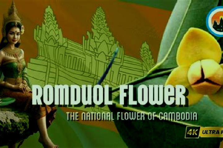 Harper, 31 — Escort in Rumduol, Cambodia