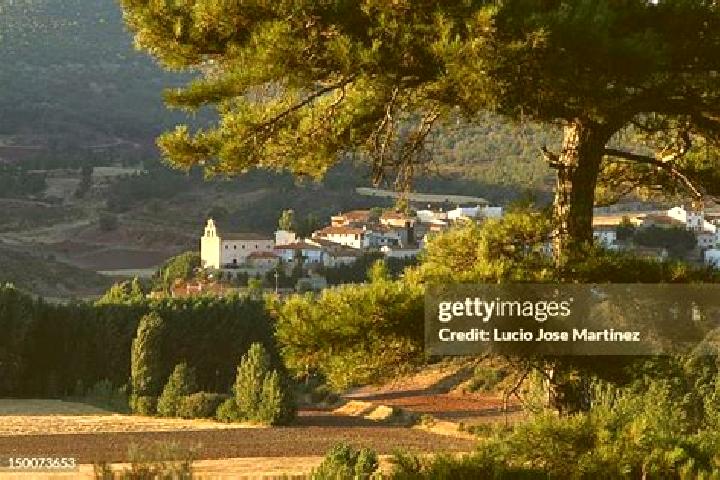 Harper, 31 — Escort in Salinas del Manzano, Spain