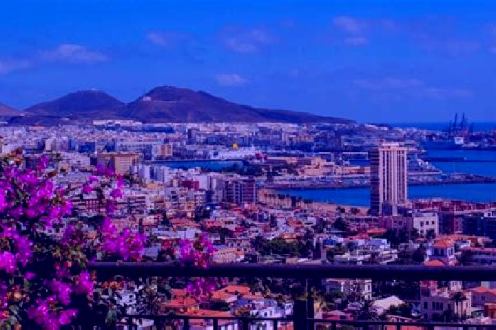 Harper, 31 — Escort in San Antonio de las Palmas, Mexico