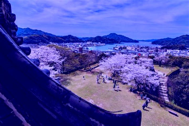 Harper, 31 — Escort in Uwajima, Japan