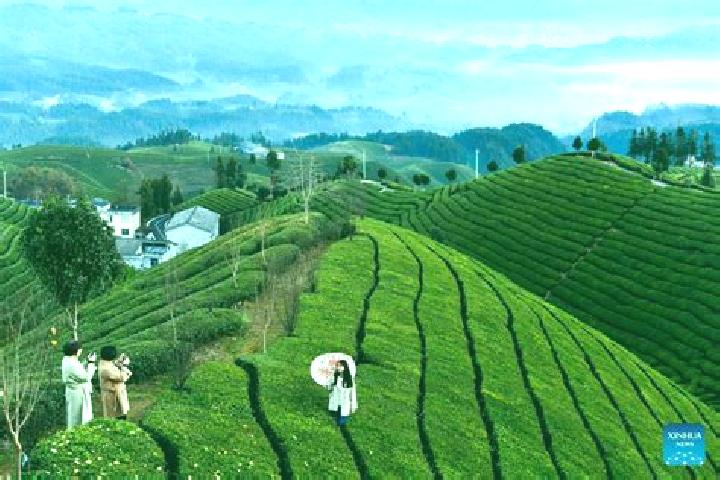 Harper, 31 — Escort in Zouma, China