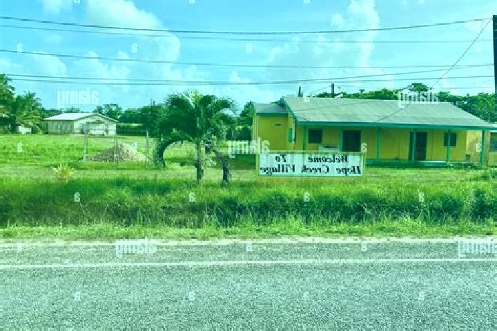 Harper, 32 — Escort in Blue Creek Village, Belize