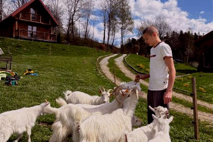 Harper, 32 — Escort in Bukowiec Opoczynski, Poland