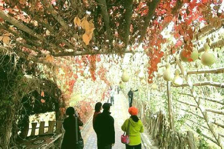 Harper, 32 — Escort in Hejing, China