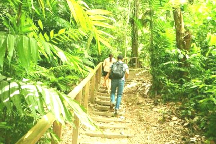 Harper, 32 — Escort in Meambar, Honduras