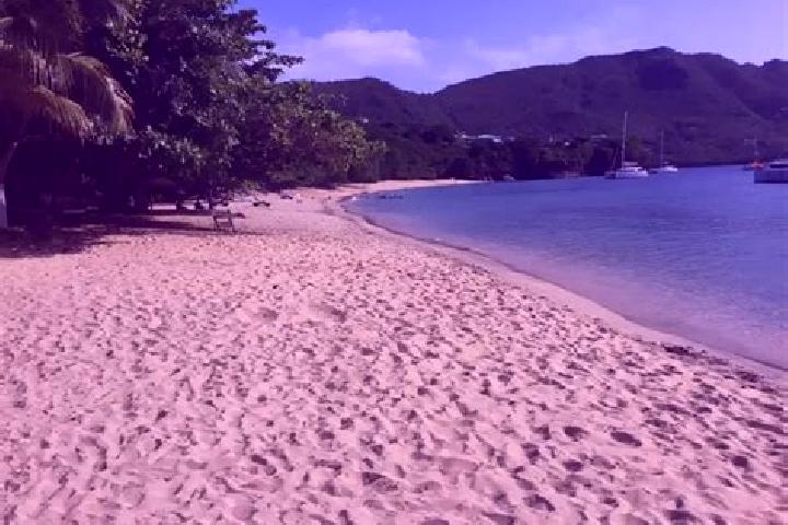Harper, 32 — Escort in New Montrose, Saint Vincent and the Grenadines
