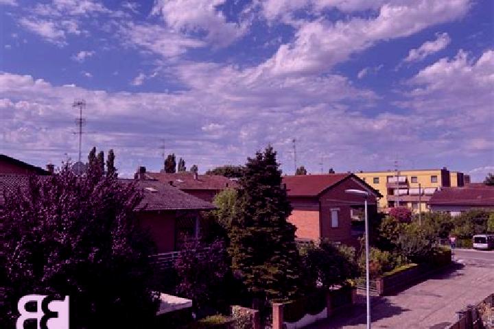 Harper, 33 — Escort in Bagnolo in Piano, Italy