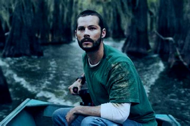 Harper, 33 — Escort in Caddo, United States