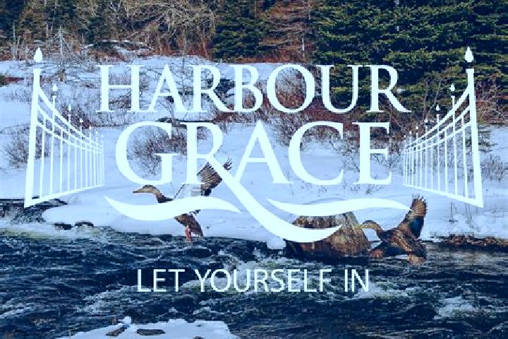 Harper, 33 — Escort in Harbour Grace, Canada