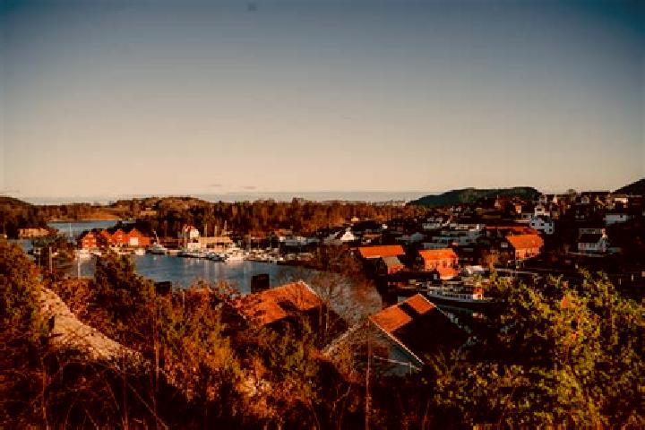 Harper, 33 — Escort in Hommersak, Norway