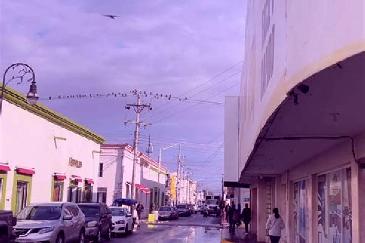 Harper, 33 — Escort in Linares, Mexico