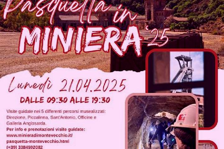 Harper, 33 — Escort in Santa Croce Bigolina, Italy