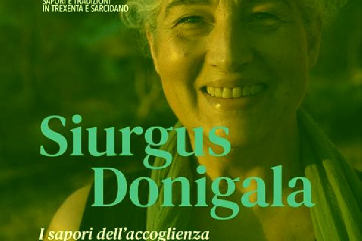 Harper, 33 — Escort in Siurgus Donigala, Italy