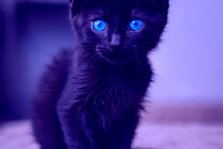 Harper, 34, a black blue-eyed caribbean companion based in Ukrayinsk. Offering GFE, Roleplay. Available for incall and outcall, day and evening dates.