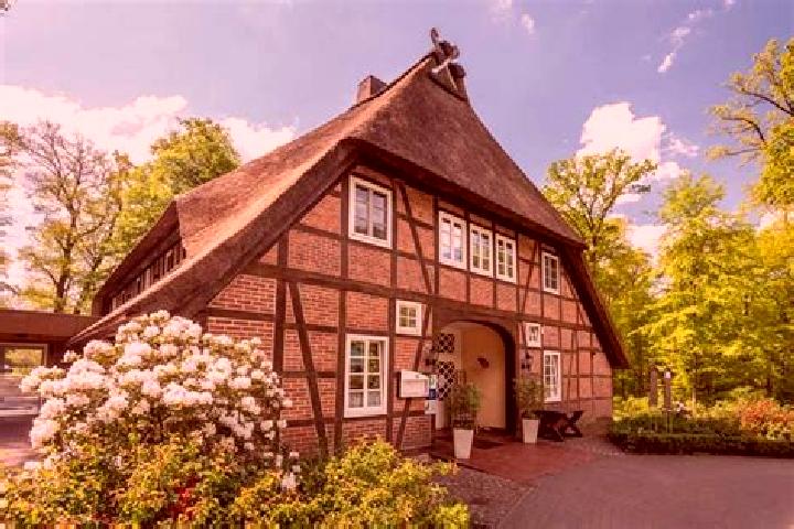 Harper, 34 — Escort in Eicklingen, Germany