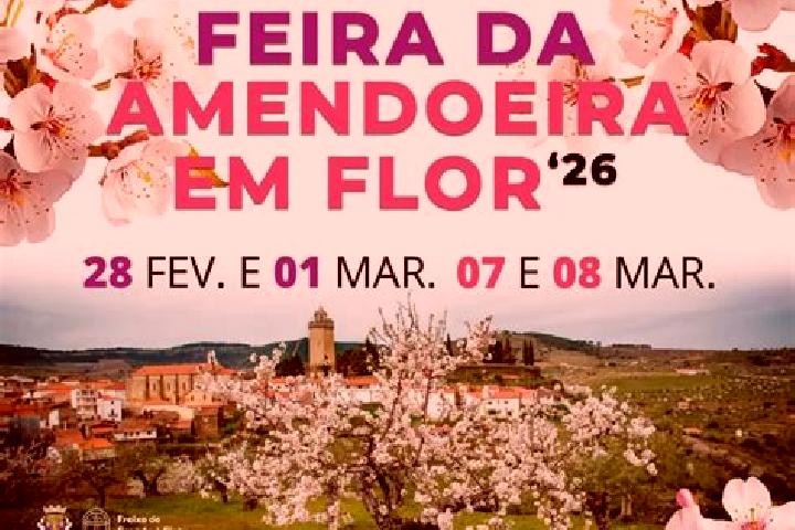 Harper, 34 — Escort in Freixo de Numao, Portugal