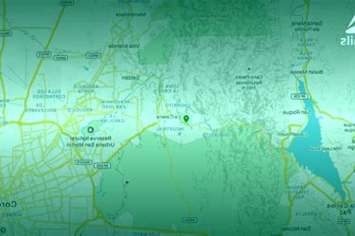 Harper, 34 — Escort in La Calera, Mexico