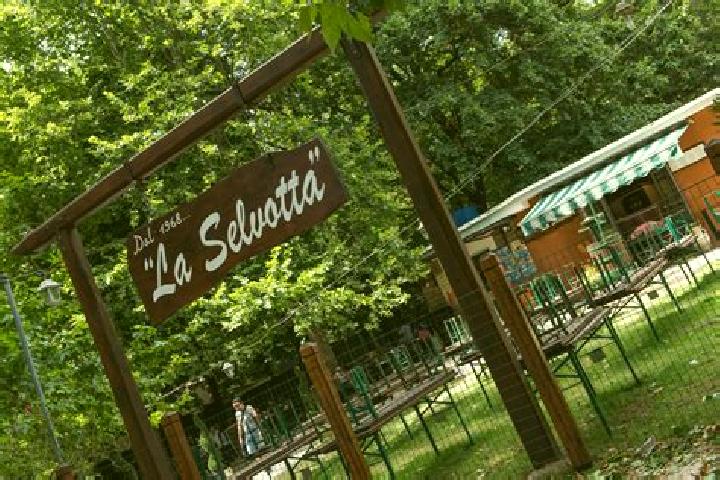 Harper, 34 — Escort in Monte Migliore La Selvotta, Italy