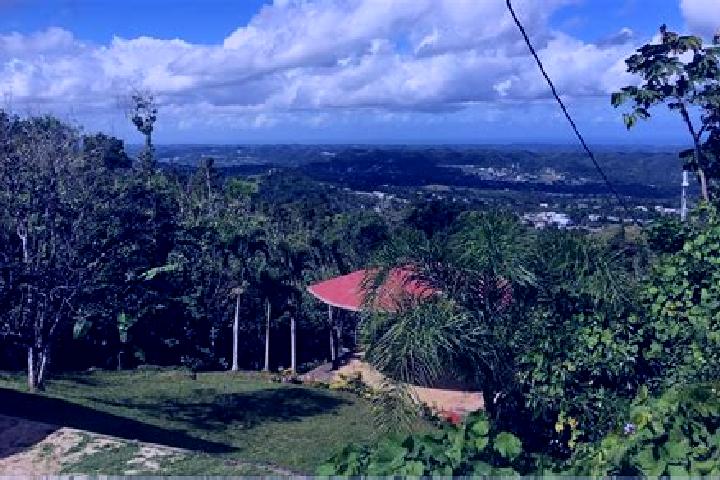 Harper, 34 — Escort in Morovis, Puerto Rico