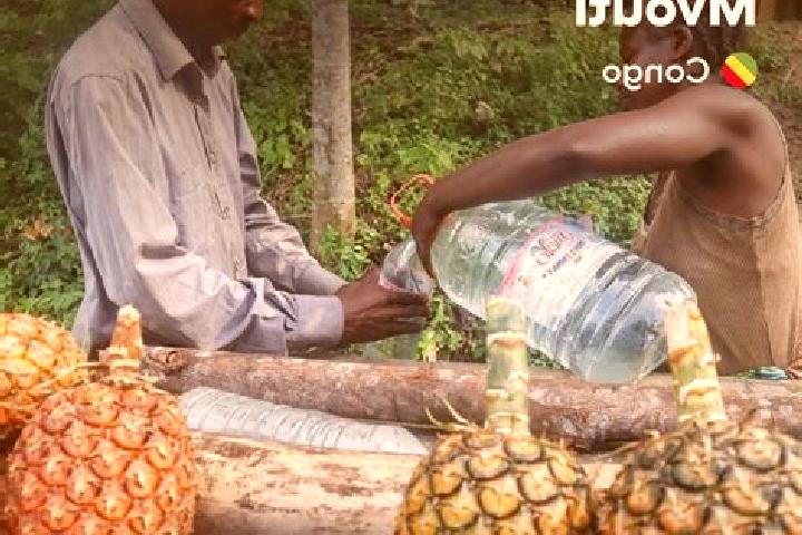 Harper, 34 — Escort in Mvouti, Congo