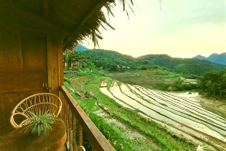Harper, 34 — Escort in Pu Law Kone, Myanmar