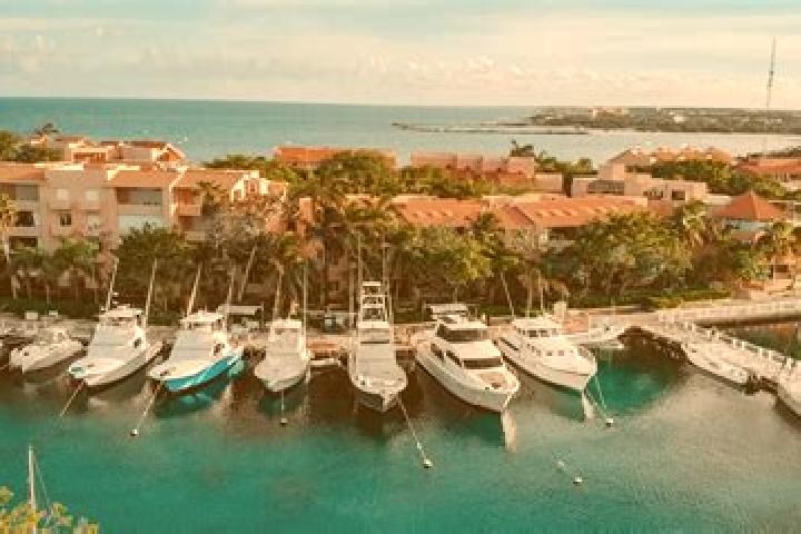 Harper, 34 — Escort in Puerto Aventuras, Mexico