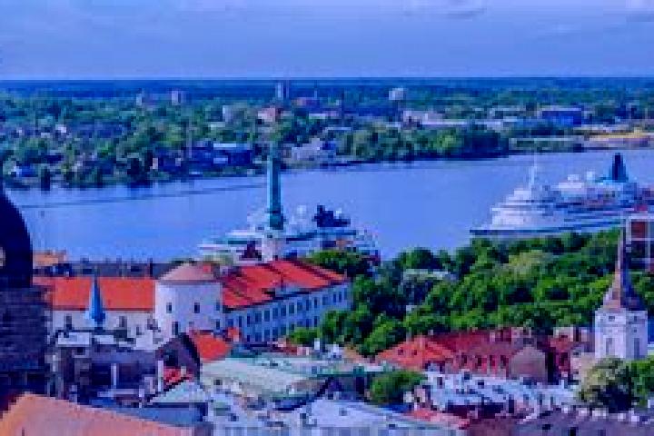 Harper, 34 — Escort in Rezekne, Latvia