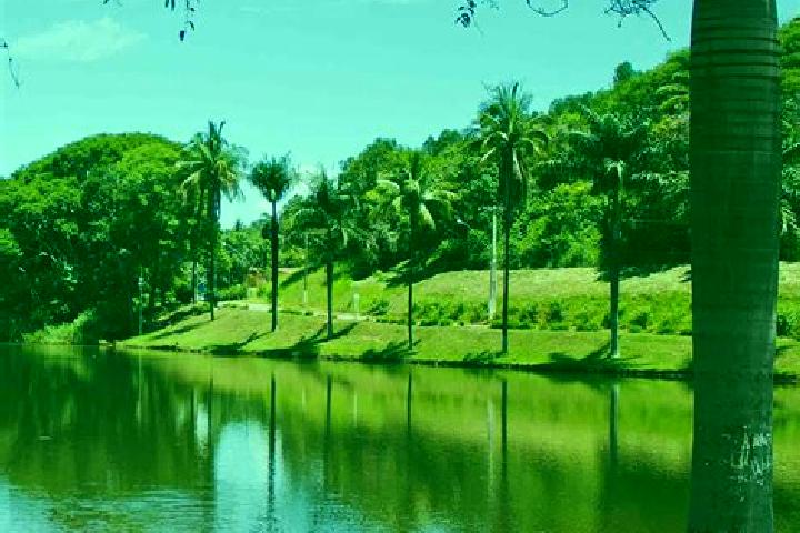 Harper, 34 — Escort in Sao Joao Evangelista, Brazil