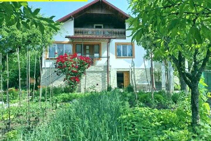 Harper, 34 — Escort in Valenii de Mures, Romania