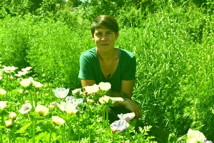 Harper, 35 — Escort in Beauzac, France