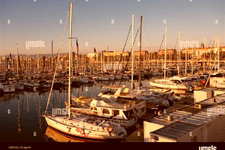 Harper, 35 — Escort in el Guinardo, Spain