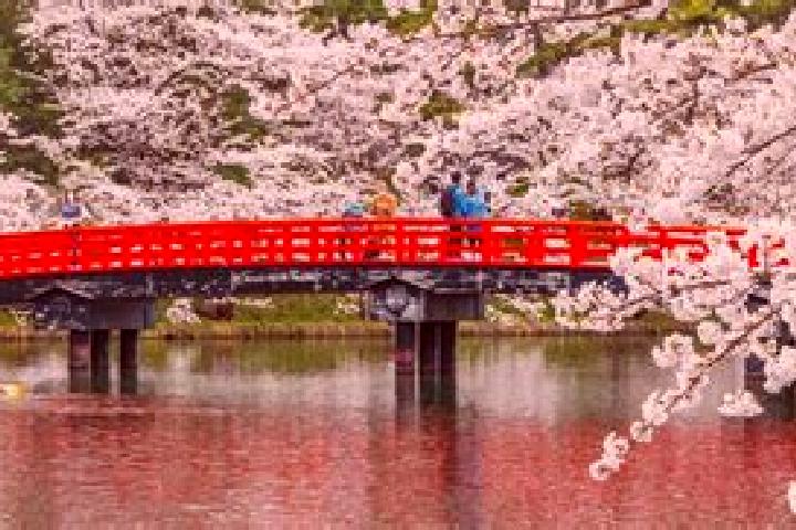 Harper, 35 — Escort in Hiranai, Japan