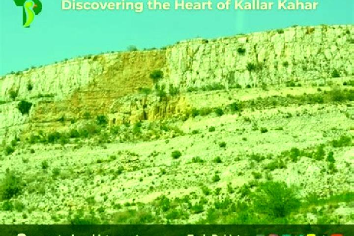 Harper, 35 — Escort in Kallar Kahar, Pakistan