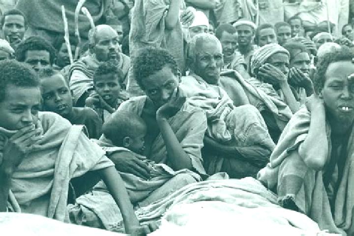 Harper, 35 — Escort in Korem, Ethiopia