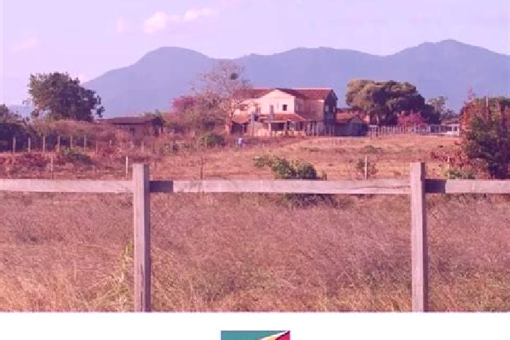 Harper, 35 — Escort in Lethem, Guyana