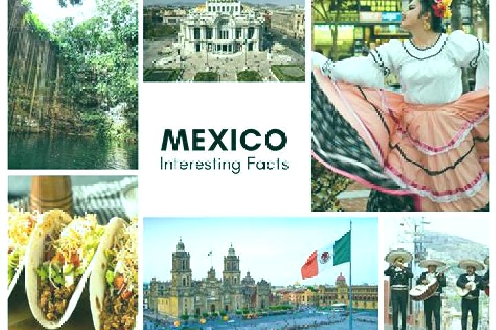 Harper, 35 — Escort in Metztitla, Mexico