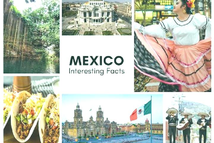 Harper, 35 — Escort in Papatlazolco, Mexico