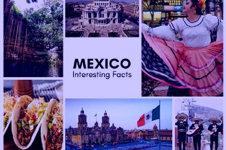 Harper, 35 — Escort in Tecominoacan, Mexico