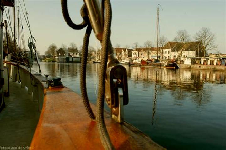 Harper, 36 — Escort in Abbekerk, Netherlands