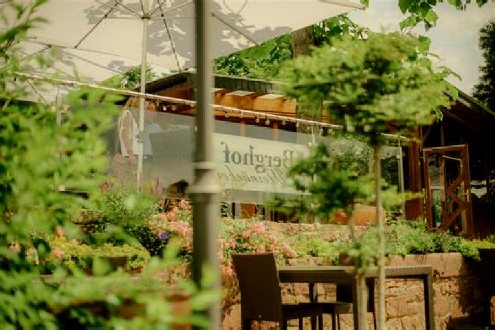 Harper, 36 — Escort in Egloffstein, Germany