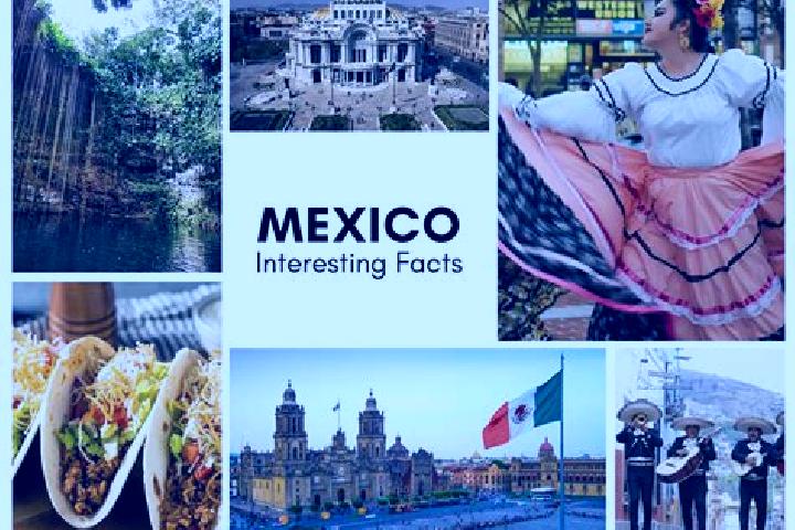 Harper, 36 — Escort in Jalapexco, Mexico