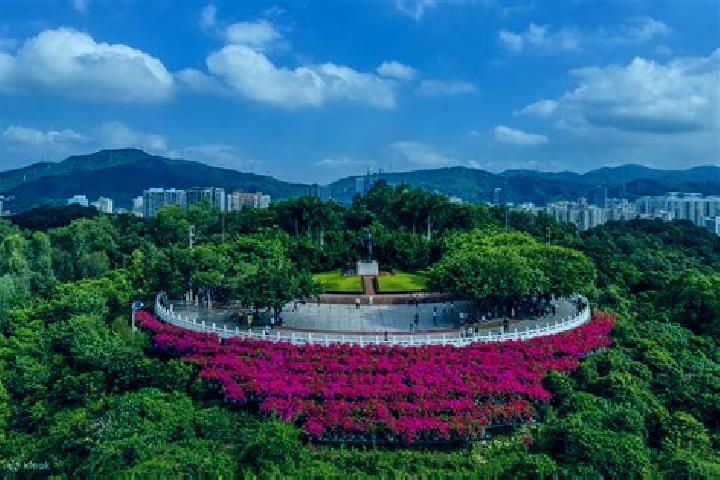 Harper, 36 — Escort in Lianhua, China