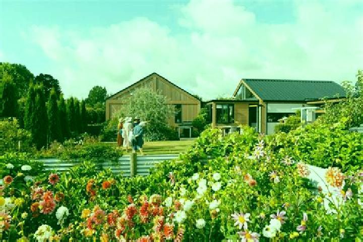 Harper, 36 — Escort in Maungatapere, New Zealand