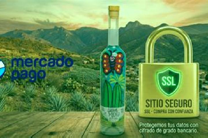 Harper, 36 — Escort in Mezcales, Mexico